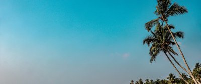 Palm trees framing a beach and a boat on the water in Goa