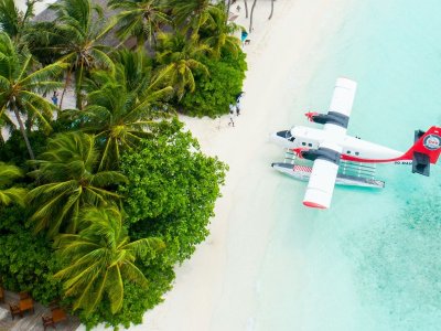 A seaplane moored beside palm trees on a Maldivian island